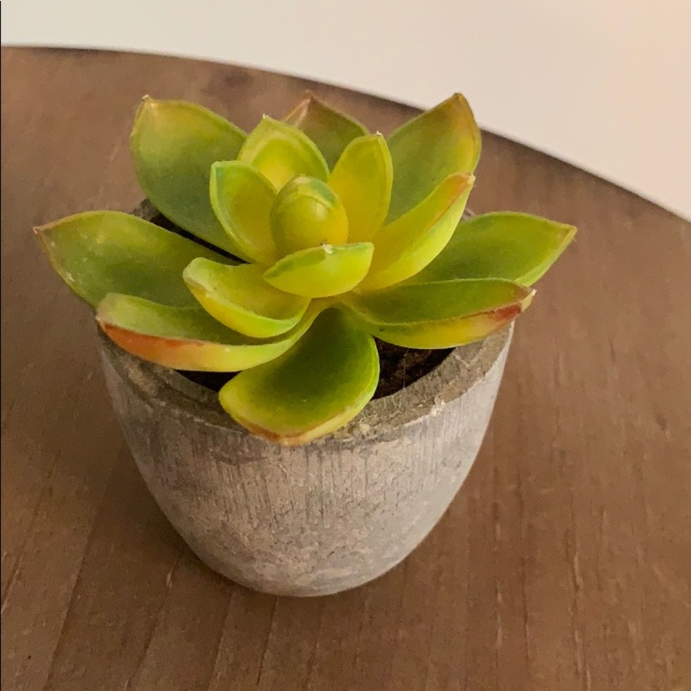 Meet your Posher, Stacey